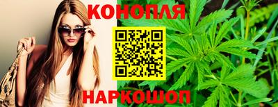 гашик Балахна