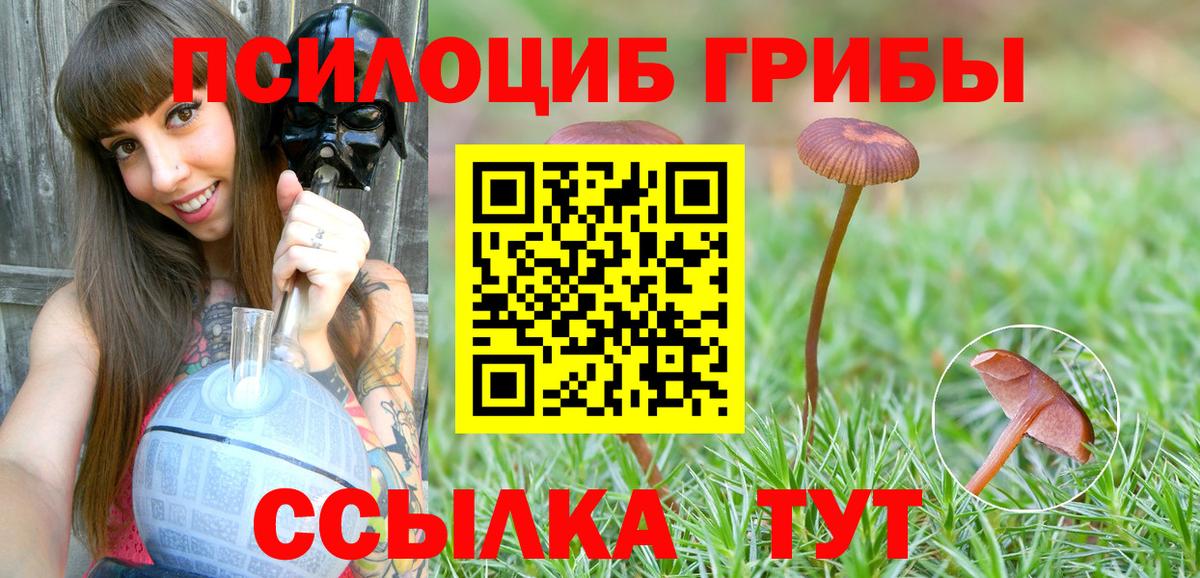 Псилоцибиновые грибы прущие грибы Жигулёвск