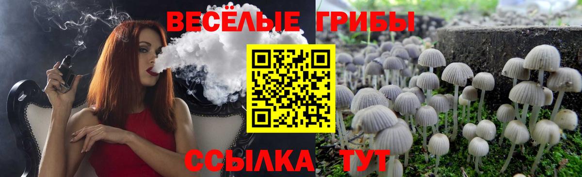 Галлюциногенные грибы Psilocybine cubensis  цены наркотик  Жигулёвск  Вход с VPN 